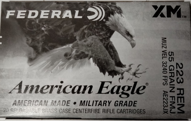 223 Rem Federal American Eagle 55 gr. FMJBT 20 rnds 3240 fps Brass M-ID: AE223JX UPC: 604544671865